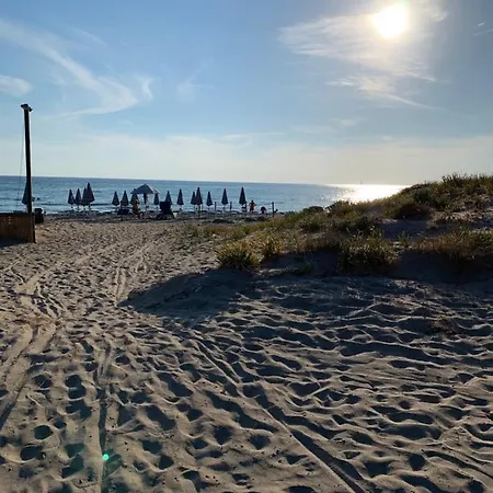 Massilor 加利波利