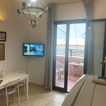 Massilor 加利波利