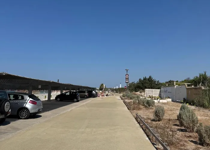 Massilor * Gallipoli